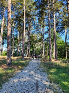 Korisnici šeću po park šumi Borik
