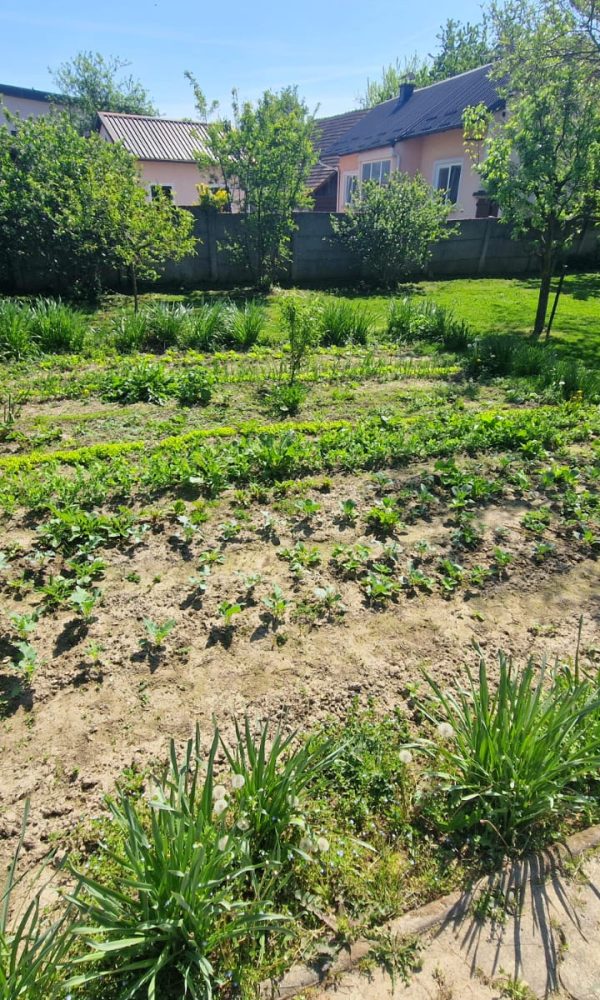 Radovi u vrtu organiziranog stanovanja 11